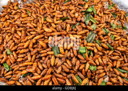 Garküchen und Restaurants verkaufen Insekten, Bangkok, Thailand. Stockfoto