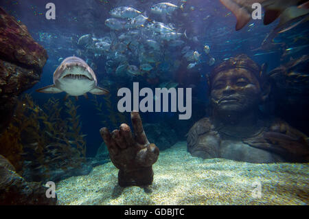 Innenraum der Siam Ocean World, Südostasiens größtes Aquarium, Einkaufszentrum Siam Paragon, Bangkok, Thailand. Stockfoto