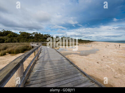 Lake Clifton Thrombolites sind sehr empfindlich, so dass eine Beobachtung Gehweg für Besucher genießen diese unglaubliche fo gebaut wurde Stockfoto