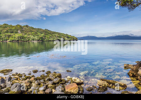 Blick über Halfmoon Bay, Stewart Island, Region Southland, Südinsel, Neuseeland Stockfoto