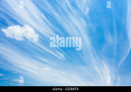 Cirruswolken im windigen Himmelblau, natürlichen Hintergrundfoto Stockfoto