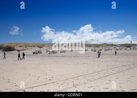 Sandstrand am Hoernum Odde, Hoernum, Sylt Nord Friesland, Schleswig-Holstein, Deutschland, Europa / Hörnum Odde Stockfoto