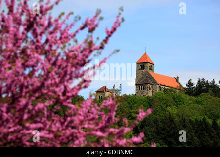 Hermannshof, Blick Auf Die Wachenburg, Weinheim, Baden-Württemberg, Deutschland Stockfoto