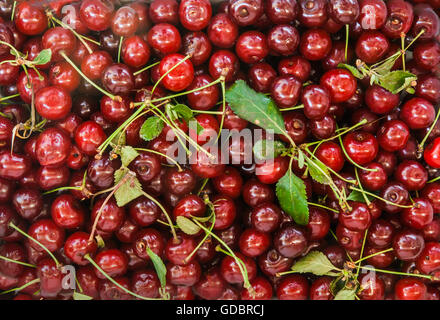 Saftig frische Kirsche nahtlose Textur. Stockfoto