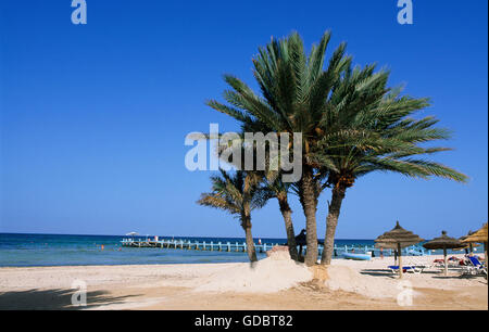 Oase Zarzis, Insel Djerba, Tunesien Stockfoto