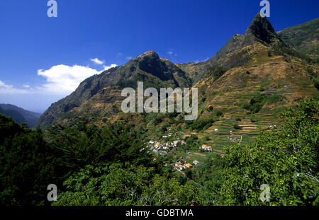 Pousada Dos Vinhaticos, Serra de Agua, Madeira Stockfoto