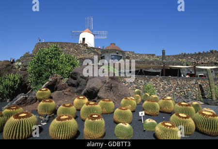 Jardin de Cactus, Lanzarote, Kanarische Inseln, Spanien Stockfoto