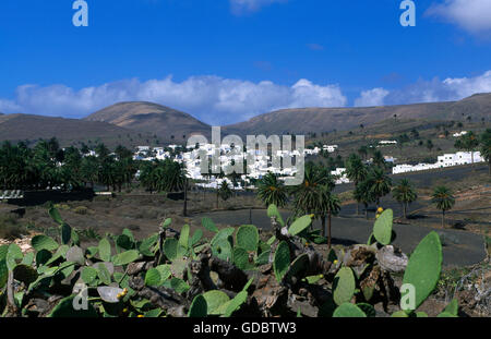 Haria, Lanzarote, Kanarische Inseln, Spanien Stockfoto