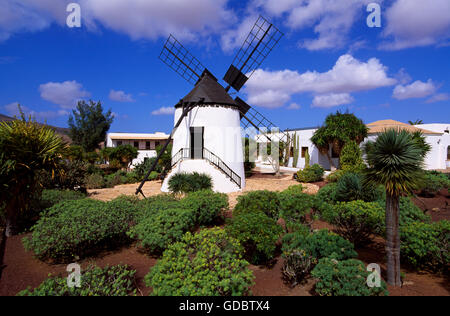 El Molino in Antigua, Fuerteventura, Kanarische Inseln, Spanien Stockfoto