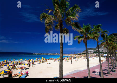 Playa Amadores, Puerto Rico, Gran Canaria, Kanaren, Spanien Stockfoto