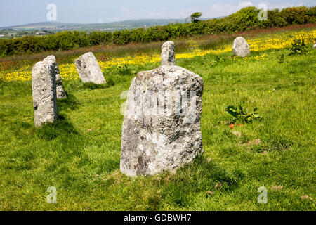 Die Merry Maidens prähistorischer Steinkreis, St Buryan, Cornwall, England, UK Stockfoto