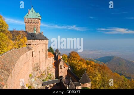 Haut-Koenigsbourg, Elsass, Frankreich Stockfoto