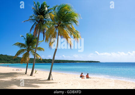 Strand auf Vieques Island, Puerto Rico, Karibik Stockfoto