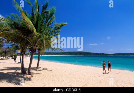 Strand auf Vieques Island, Puerto Rico, Karibik Stockfoto