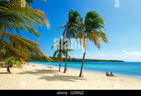 Sun Bay Beach auf Vieques Island, Puerto Rico, Karibik Stockfoto