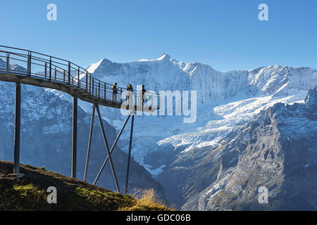 Summit Trail und Beobachtung Plattform mit dem Namen First Cliff Walk an der Spitze der First über Grindelwald, Berner Oberland, Sw Stockfoto