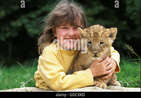 Mädchen mit Cub, afrikanischer Löwe Panthera Leo Stockfoto