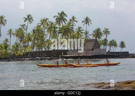 Big Island, Kaloko Honokohau, National Historical park, Big Island, USA, Hawaii, Amerika, Palmen, Boot, Auslegerboot, Stockfoto