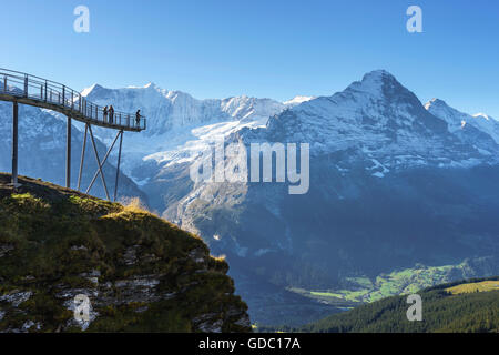 Summit Trail und Beobachtung Plattform mit dem Namen First Cliff Walk an der Spitze der First über Grindelwald, Berner Oberland, Sw Stockfoto