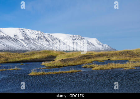 Im Fjord Skagafjördur mit dem Berg Tindastoll in der Nähe der kleinen Stadt Saudarkrokur in Nord-Island. Stockfoto