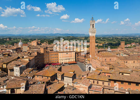 Siena, Provinz Siena, Toskana, Italien.  Piazza del Campo und Torre del Mangia.  Hohe Sicht. Stockfoto