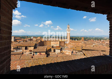 Siena, Provinz Siena, Toskana, Italien.  Piazza del Campo und Torre del Mangia.  Hohe Sicht. Stockfoto