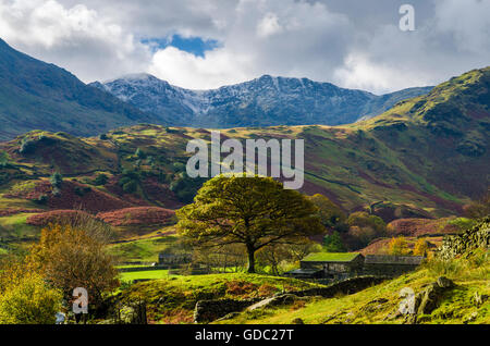 Herbst Schnee auf Wirbel-wie in der Nähe von Little Langdale im Lake District, Cumbria, England. Stockfoto