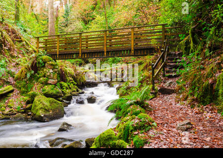 Footbrige über Birker Beck in der Stanley Ghyll Schlucht in der Seenplatte, Eskdale, Cumbria, England. Stockfoto