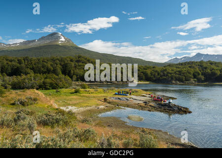 Süd-Amerika, Feuerland, Argentinien, Ushuaia, Feuerland Nationalpark Stockfoto