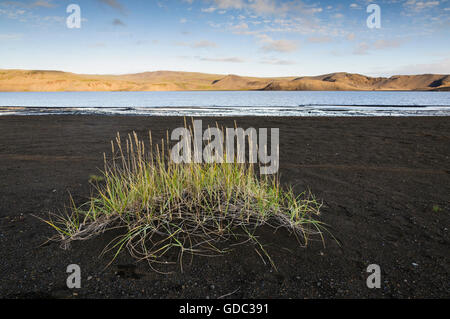 An der See Kleifarvatn auf der Halbinsel Reykjanes im Südwesten Islands. Stockfoto