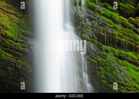Thur Wasserfälle, Kanton St. Gallen, Schweiz Stockfoto