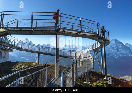 Summit Trail und Beobachtung Plattform mit dem Namen First Cliff Walk an der Spitze der First über Grindelwald, Berner Oberland, Sw Stockfoto