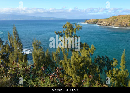 USA, Vereinigte Staaten, Amerika, Hawaii, Maui, Kaanapali Coast in der Nähe von Kapalua Stockfoto