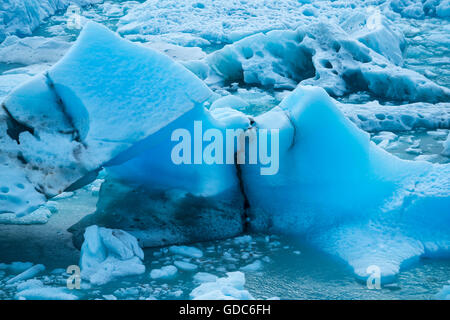 Südamerika, Argentinien, Patagonien, Santa Cruz, El Calafate, Los Glaciares, Nationalpark, Perito Moreno, Gletscher, UNESCO, Worl Stockfoto