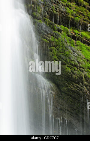Thur Wasserfälle, Kanton St. Gallen, Schweiz Stockfoto