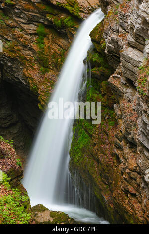 Thur Wasserfälle, Kanton St. Gallen, Schweiz Stockfoto