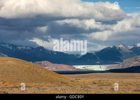 Viedma, Gletscher, Argentinien, Patagonien Stockfoto