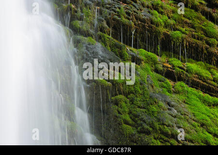 Thur Wasserfälle, Kanton St. Gallen, Schweiz Stockfoto