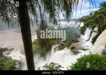 Iguazu Wasserfälle, Argentinien Stockfoto