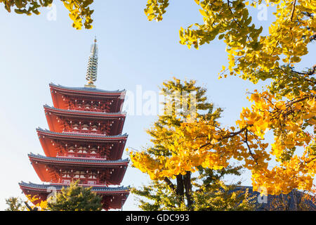 Asakusa, Tokio, Japan, Honshu Sensoji Tempel aka Asakusa Kannon Tempel Stockfoto