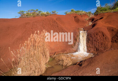 Kauai, Waimea Canyon State Park, Kauai, USA, Hawaii, Amerika, Wasserfall, Stockfoto