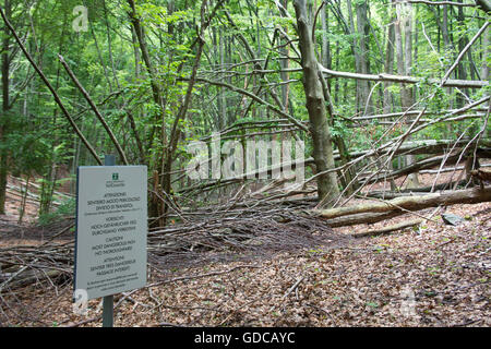 Italien, Europa, Nord-Italien, Piemont, Nationalpark, Val Grande, Schild, Schild, Wanderweg Stockfoto