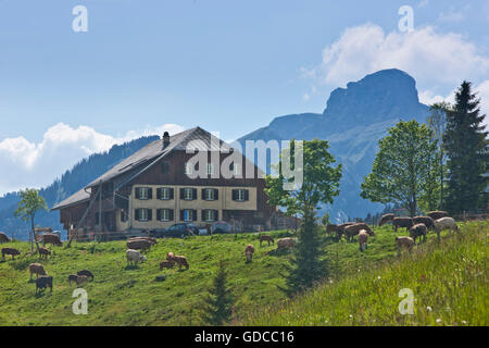 Bauernhof in der Nähe von Sörenberg LU in das Entlebuch, Stockfoto