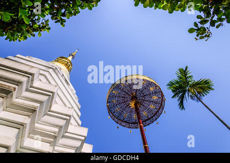 Pagode, goldenen Sonnenschirm & Palm Tree gegen den blauen Himmel an buddhistischen Tempel in Chiang Mai, Nordthailand Stockfoto