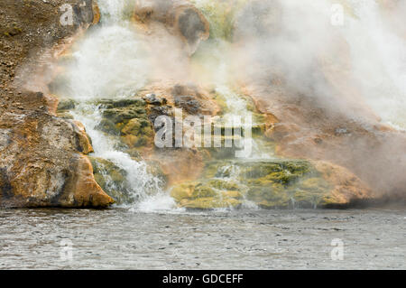 Firehole River in der Nähe von Lower Geyser Basin, Yellowstone-Nationalpark, Wyoming, USA Stockfoto