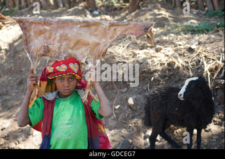Kind hält Ziegenhaut über seinem Kopf. Ziege hinter. Lalibela Markt, Äthiopien Stockfoto