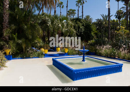 Majorelle Gärten, Marrakesch, Marokko, Afrika Stockfoto