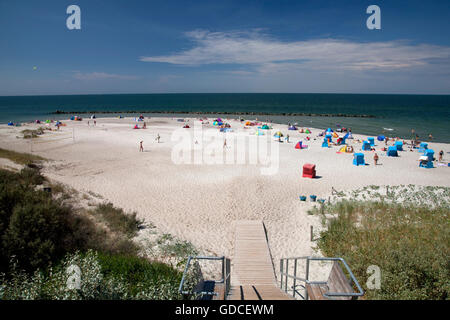 Strand, Ostsee resort Stadt Ahrenshoop, Fischland, Mecklenburg-Vorpommern Stockfoto