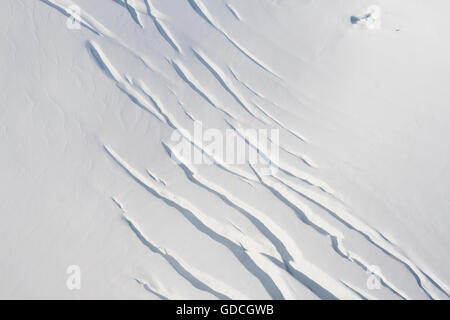 Franz Josef Gletscher, Südinsel, Neuseeland Stockfoto