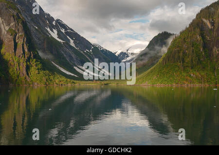 Tracy Arm Fjord ist eines der am meisten schönen Orte in Alaska USA Stockfoto